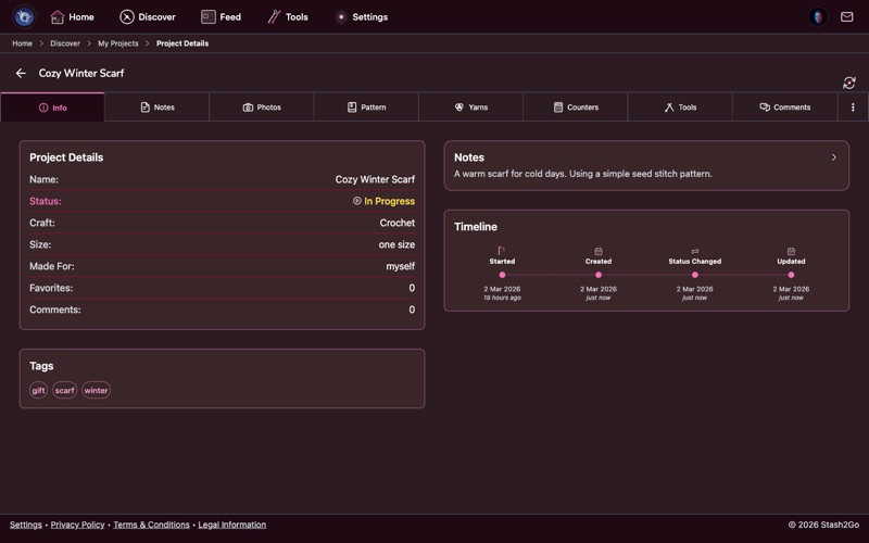 Project detail screen showing info tab with status, progress, and details