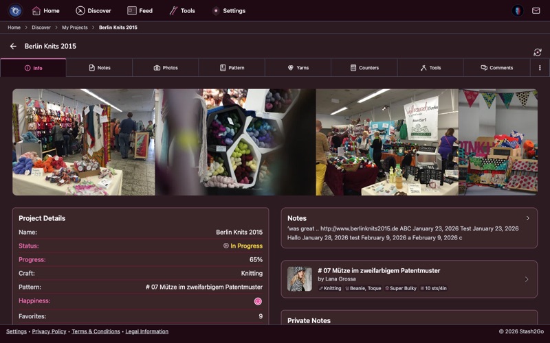 Project detail screen showing the Info tab with status, progress percentage, and project details